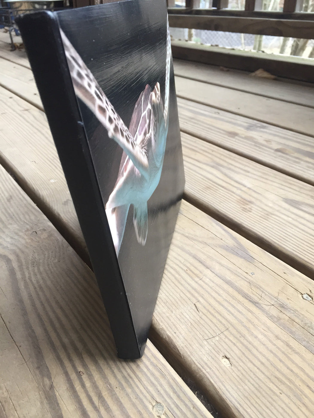 Sea Turtle Canvas Photo | Gift for Sea Turtle Lover