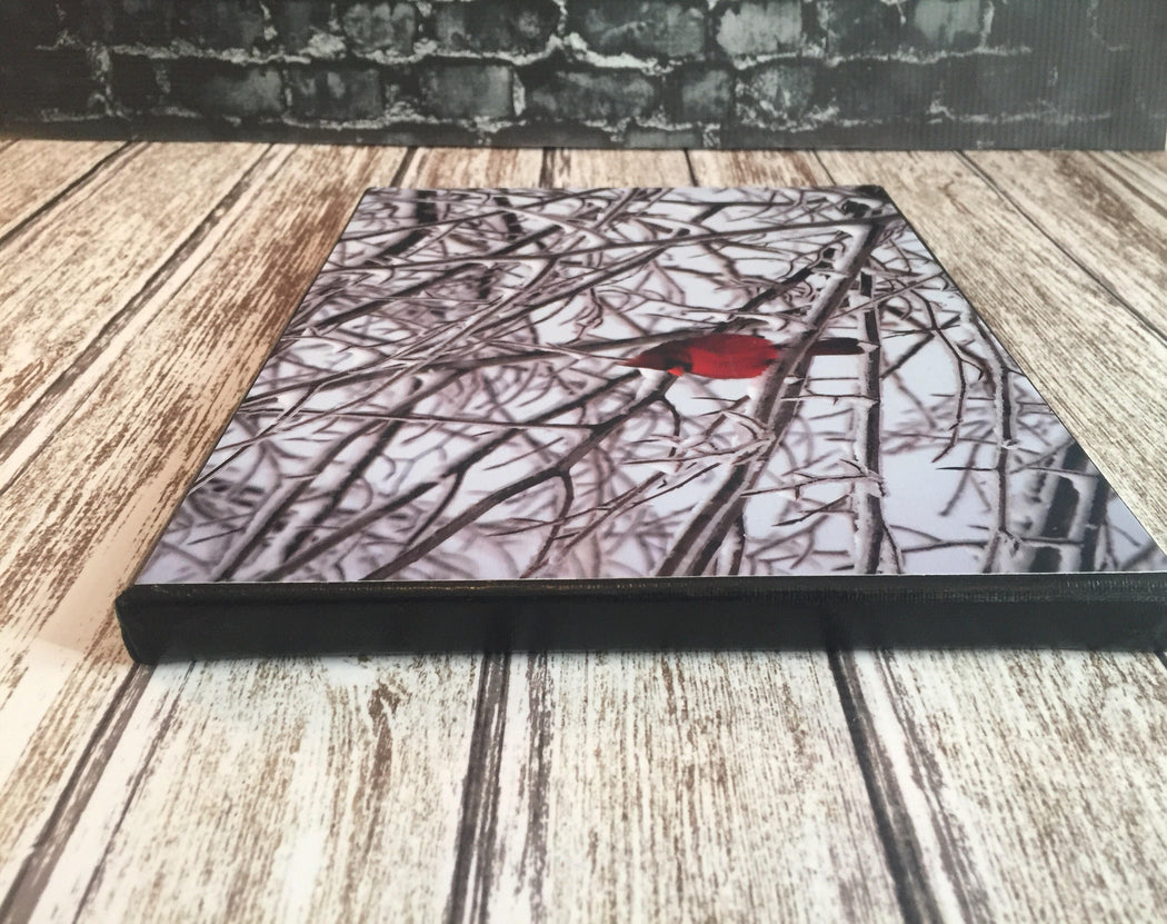 Winter Cardinal Canvas Photo | Bird Lovers Gift