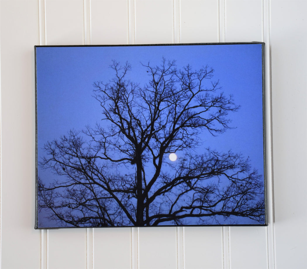Tree Silhouette with Moon Canvas Photo | Gardener Gift