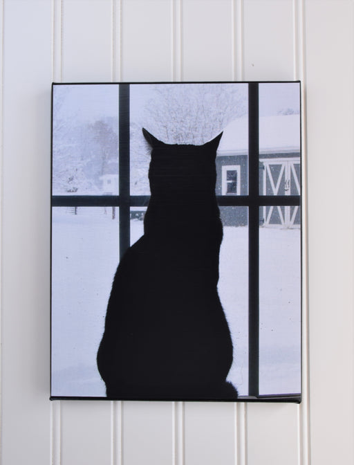 Cat Looking out a Window Canvas Photo | Cat Lover Gift