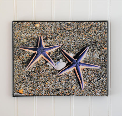 Purple Starfish Canvas Photo | Beach Lovers Gift