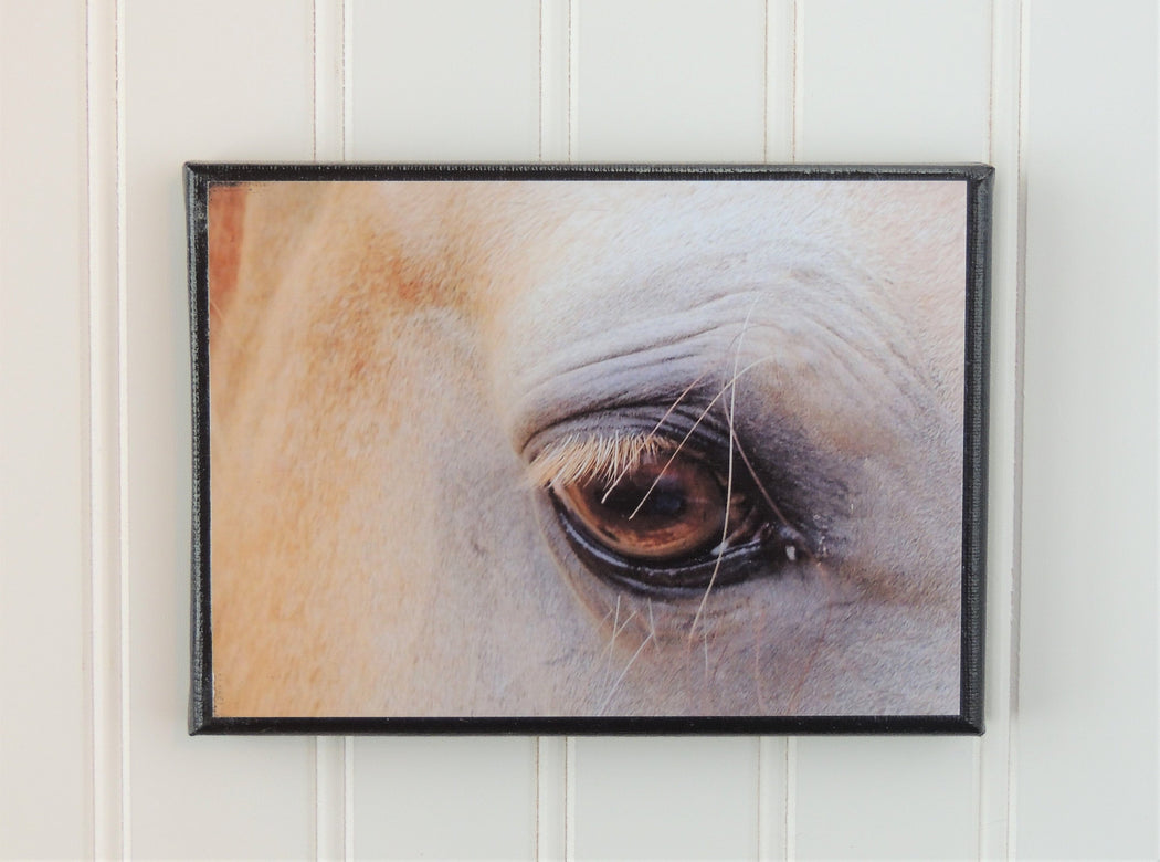Canvas Photo Closeup of Horse Eye | Horse Lover Gift