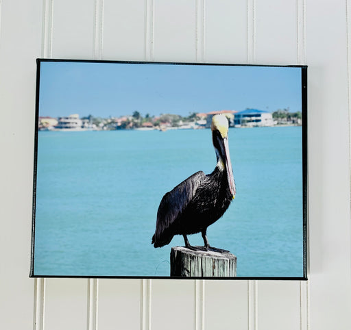 Pelican Canvas Photo | Florida Pelican Art | Bird Lover Gift